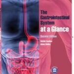 The Gastrointestinal System at a Glance