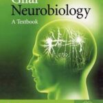 Glial Neurobiology
