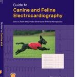 Guide to Canine and Feline Electrocardiography