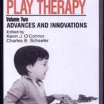 Handbook of Play Therapy, Advances and Innovations