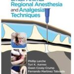 Handbook of Small Animal Regional Anesthesia and Analgesia Techniques