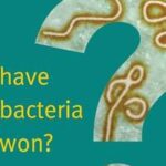 Have Bacteria Won?