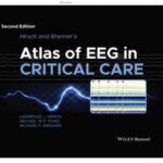 Hirsch and Brenner's Atlas of EEG in Critical Care