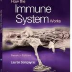 How the Immune System Works