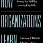 How Organizations Learn