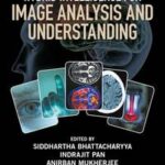 Hybrid Intelligence for Image Analysis and Understanding