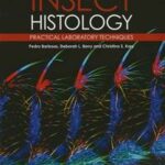Insect Histology