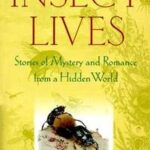 Insect Lives