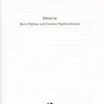 The Internet in Everyday Life