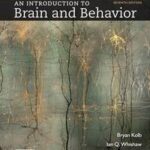 Loose-Leaf Version of an Introduction to Brain and Behavior