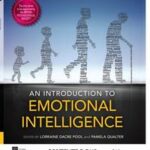 An Introduction to Emotional Intelligence