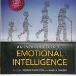 An Introduction to Emotional Intelligence