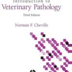 Introduction to Veterinary Pathology