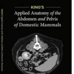 King's Applied Anatomy of the Abdomen and Pelvis of Domestic Mammals