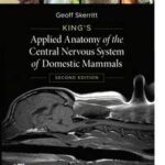 King's Applied Anatomy of the Central Nervous System of Domestic Mammals