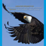 Laboratory Experiments for Introduction to General, Organic and Biochemistry