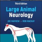 Large Animal Neurology