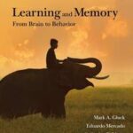 Loose-Leaf Version for Learning and Memory