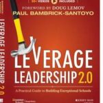 Leverage Leadership 2.0