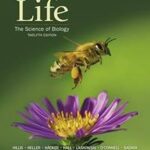 Loose-Leaf Version for Life: the Science of Biology Digital Update
