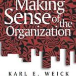 Making Sense of the Organization