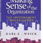 Making Sense of the Organization, Volume 2