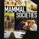 Mammal Societies
