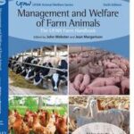 Management and Welfare of Farm Animals