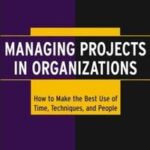 Managing Projects in Organizations