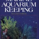 Marine Aquarium Keeping
