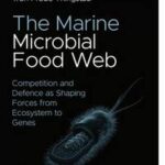 The Marine Microbial Food Web