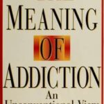 The Meaning of Addiction
