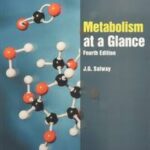 Metabolism at a Glance