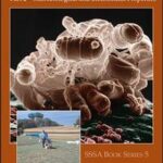 Methods of Soil Analysis, Part 2