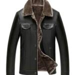 Mid-Cretaceous Ostracoda of Northeastern Algeria