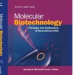 Molecular Biotechnology