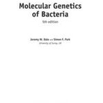 Molecular Genetics of Bacteria