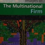 The Multinational Firm