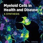 Myeloid Cells in Health and Disease