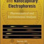 Nanochromatography and Nanocapillary Electrophoresis