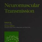 Neuromuscular Transmission