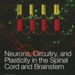 Neurons, Circuitry, and Plasticity in the Spinal Cord and Brainstem, Volume 1279