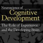 Neuroscience of Cognitive Development