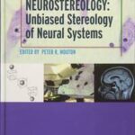 Neurostereology