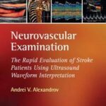 Neurovascular Examination