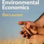 The New Environmental Economics