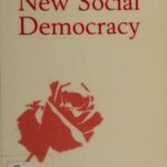 The New Social Democracy