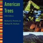 North American Trees