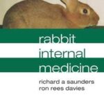 Notes on rabbit internal medicine