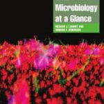 Oral Microbiology at a Glance
